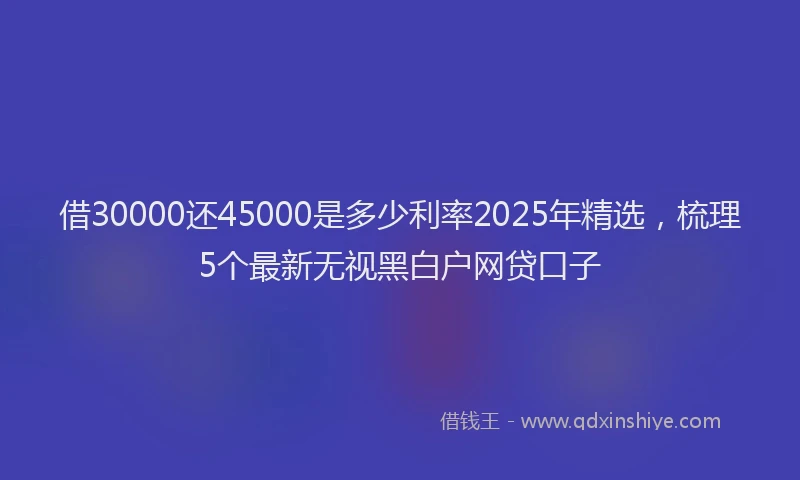 借30000还45000是多少利率2025年精选，梳理5个最新无视黑白户网贷口子