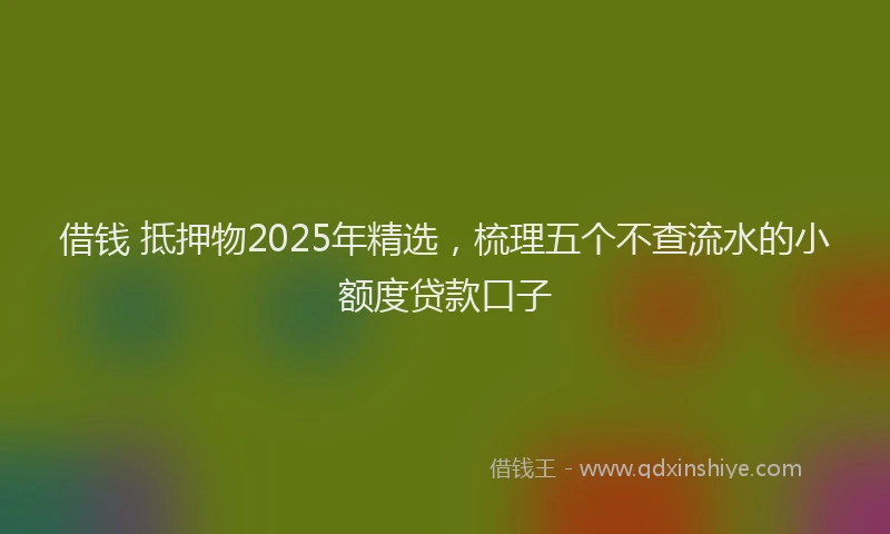 借钱 抵押物2025年精选，梳理五个不查流水的小额度贷款口子