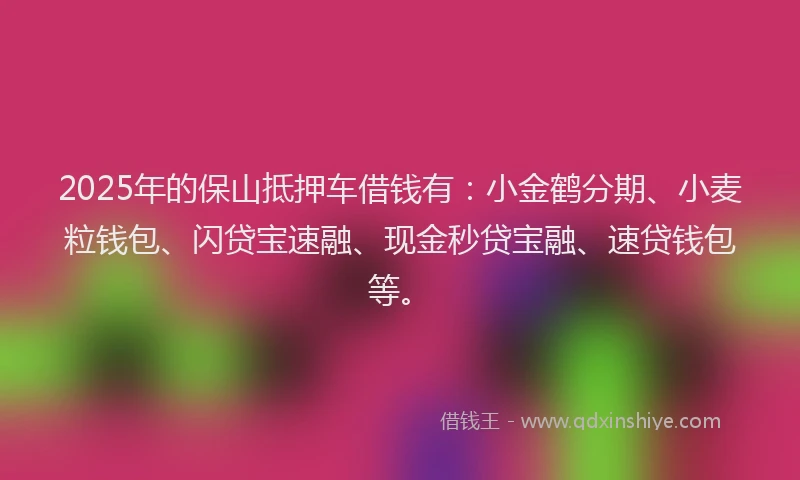 2025年的保山抵押车借钱有：小金鹤分期、小麦粒钱包、闪贷宝速融、现金秒贷宝融、速贷钱包等。