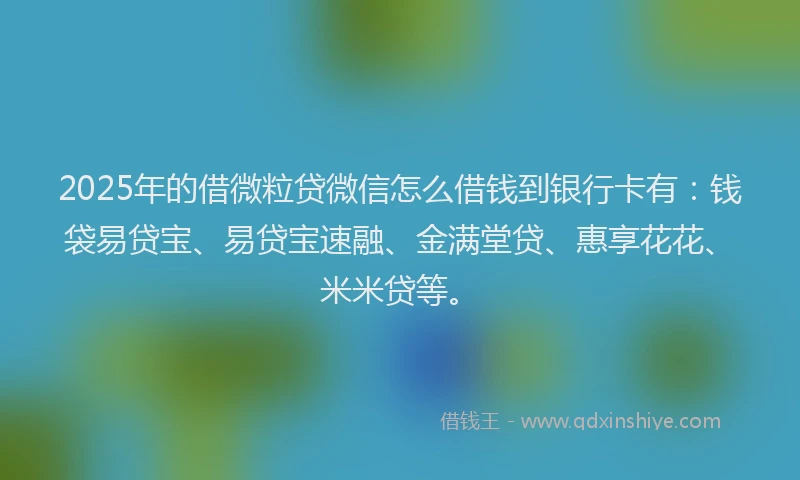 2025年的借微粒贷微信怎么借钱到银行卡有：钱袋易贷宝、易贷宝速融、金满堂贷、惠享花花、米米贷等。