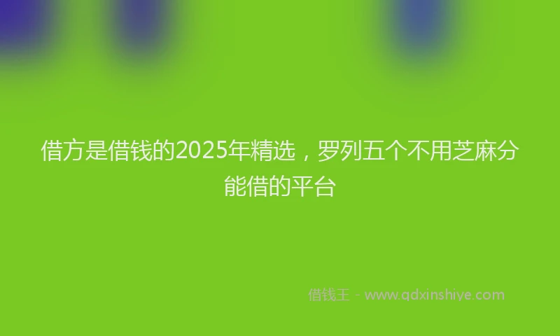 借方是借钱的2025年精选，罗列五个不用芝麻分能借的平台