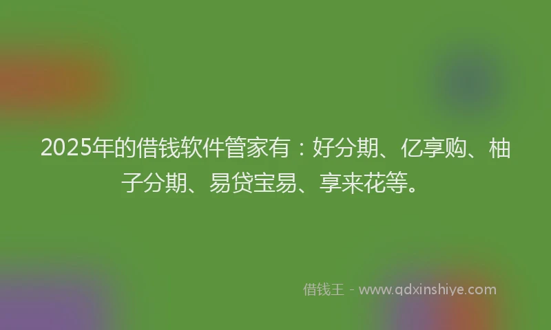 2025年的借钱软件管家有：好分期、亿享购、柚子分期、易贷宝易、享来花等。
