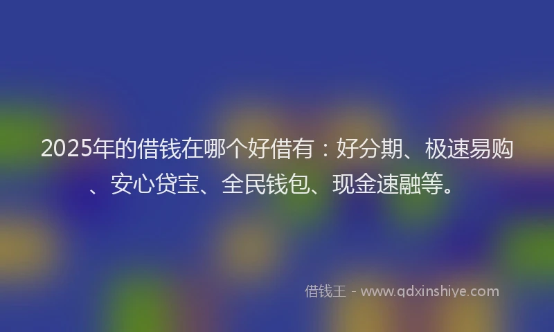 2025年的借钱在哪个好借有：好分期、极速易购、安心贷宝、全民钱包、现金速融等。