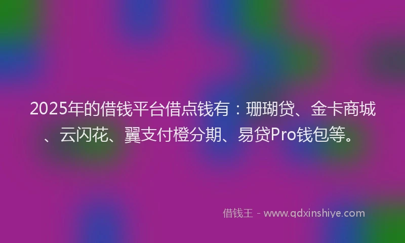 2025年的借钱平台借点钱有：珊瑚贷、金卡商城、云闪花、翼支付橙分期、易贷Pro钱包等。