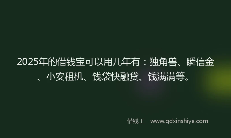 2025年的借钱宝可以用几年有：独角兽、瞬信金、小安租机、钱袋快融贷、钱满满等。