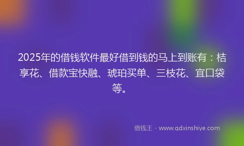 2025年的借钱软件最好借到钱的马上到账有：桔享花、借款宝快融、琥珀买单、三枝花、宜口袋等。