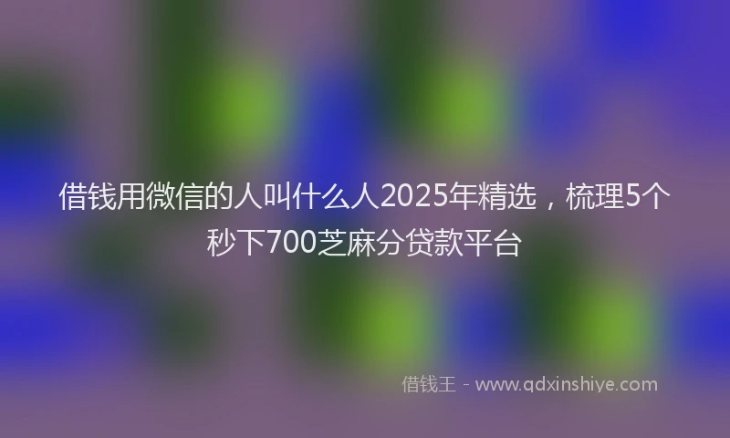 借钱用微信的人叫什么人2025年精选，梳理5个秒下700芝麻分贷款平台