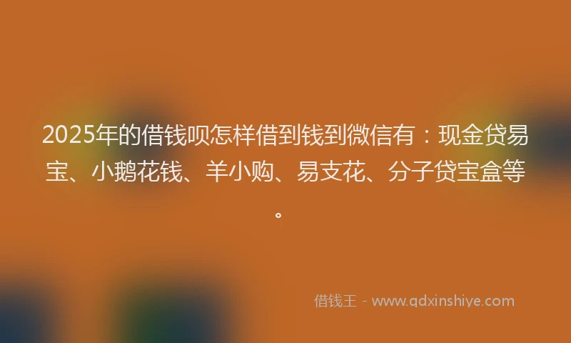 2025年的借钱呗怎样借到钱到微信有：现金贷易宝、小鹅花钱、羊小购、易支花、分子贷宝盒等。