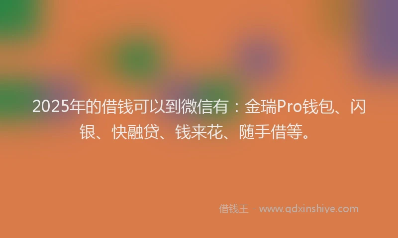 2025年的借钱可以到微信有：金瑞Pro钱包、闪银、快融贷、钱来花、随手借等。