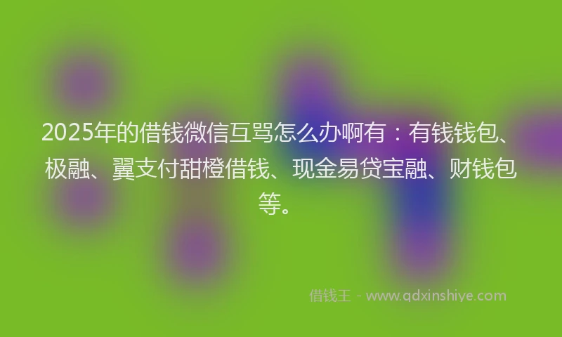 2025年的借钱微信互骂怎么办啊有：有钱钱包、极融、翼支付甜橙借钱、现金易贷宝融、财钱包等。