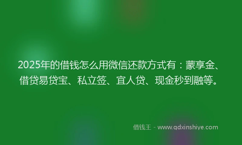 2025年的借钱怎么用微信还款方式有：蒙享金、借贷易贷宝、私立签、宜人贷、现金秒到融等。
