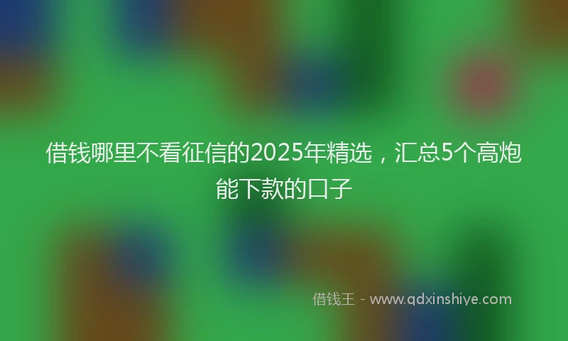 借钱哪里不看征信的2025年精选，汇总5个高炮能下款的口子