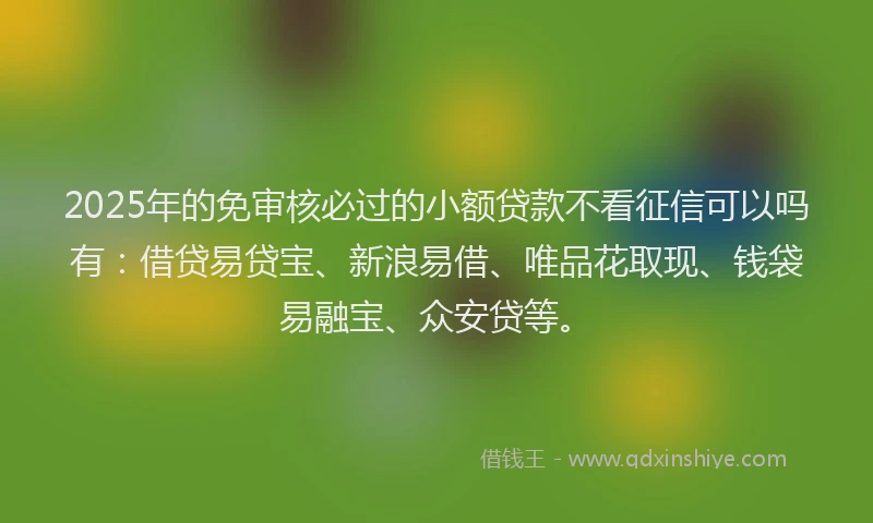 2025年的免审核必过的小额贷款不看征信可以吗有：借贷易贷宝、新浪易借、唯品花取现、钱袋易融宝、众安贷等。