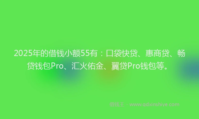 2025年的借钱小额55有：口袋快贷、惠商贷、畅贷钱包Pro、汇火佑金、翼贷Pro钱包等。
