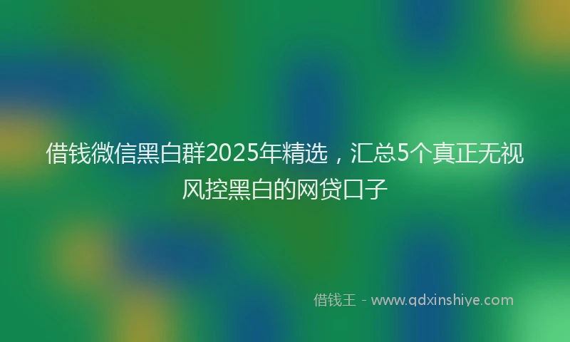 借钱微信黑白群2025年精选，汇总5个真正无视风控黑白的网贷口子