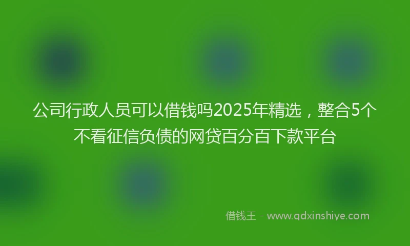公司行政人员可以借钱吗2025年精选，整合5个不看征信负债的网贷百分百下款平台