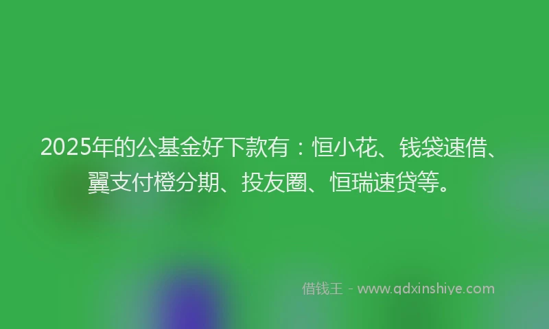 2025年的公基金好下款有：恒小花、钱袋速借、翼支付橙分期、投友圈、恒瑞速贷等。