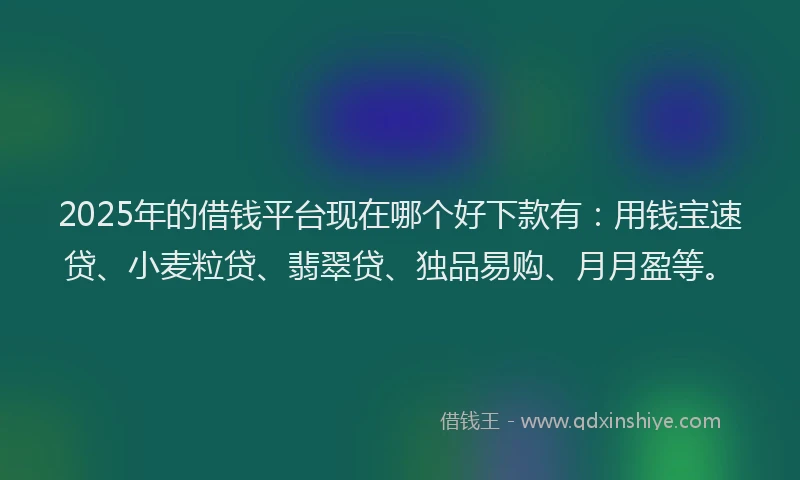 2025年的借钱平台现在哪个好下款有：用钱宝速贷、小麦粒贷、翡翠贷、独品易购、月月盈等。