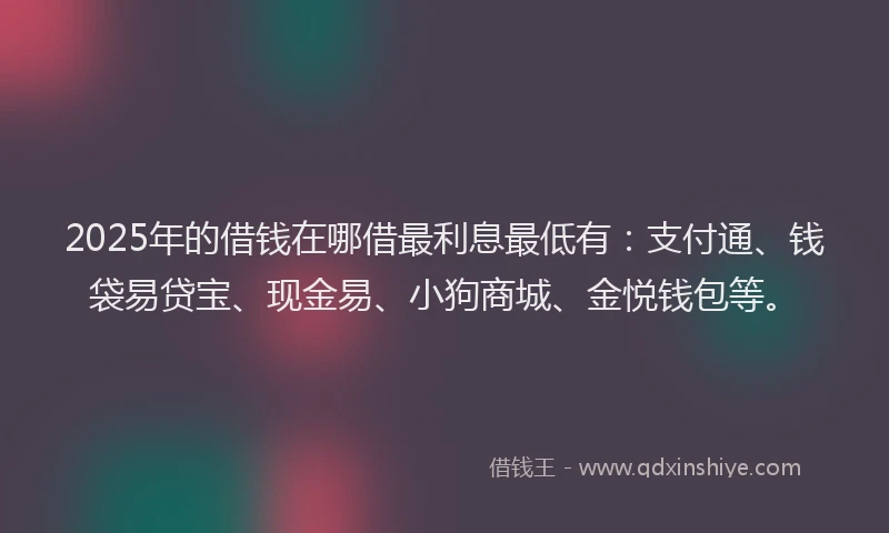 2025年的借钱在哪借最利息最低有：支付通、钱袋易贷宝、现金易、小狗商城、金悦钱包等。