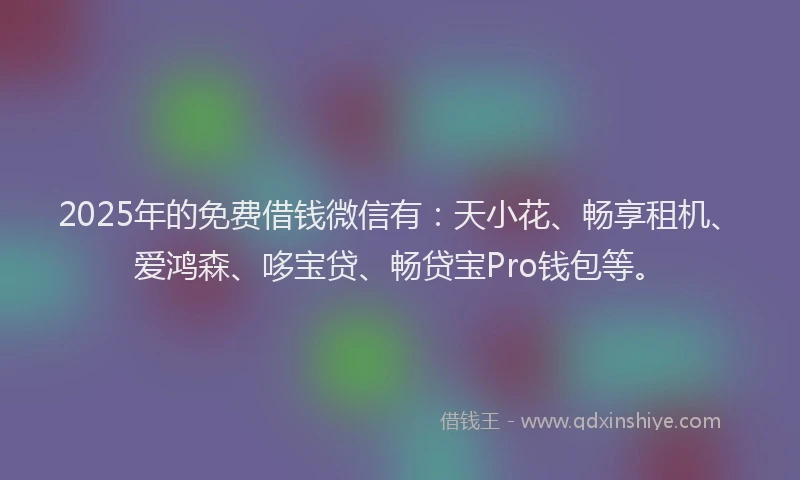 2025年的免费借钱微信有：天小花、畅享租机、爱鸿森、哆宝贷、畅贷宝Pro钱包等。