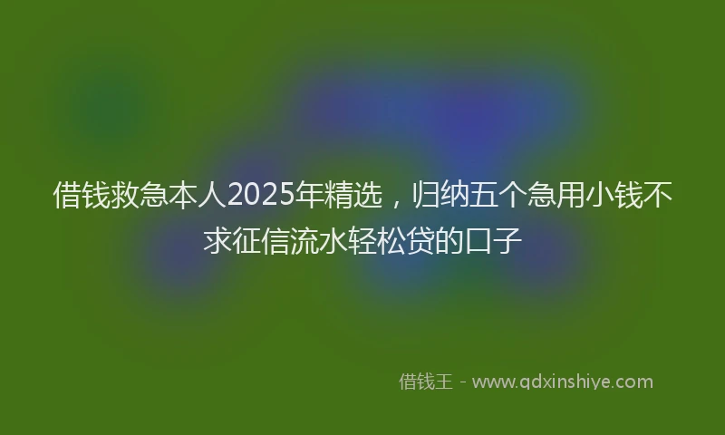 借钱救急本人2025年精选，归纳五个急用小钱不求征信流水轻松贷的口子