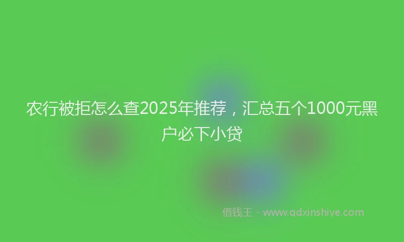 农行被拒怎么查2025年推荐，汇总五个1000元黑户必下小贷