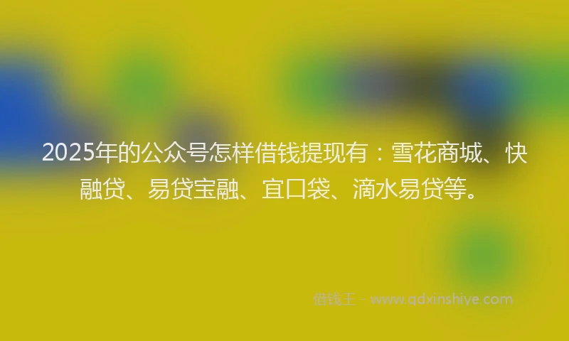 2025年的公众号怎样借钱提现有：雪花商城、快融贷、易贷宝融、宜口袋、滴水易贷等。