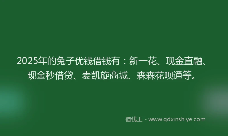 2025年的兔子优钱借钱有：新一花、现金直融、现金秒借贷、麦凯旋商城、森森花呗通等。