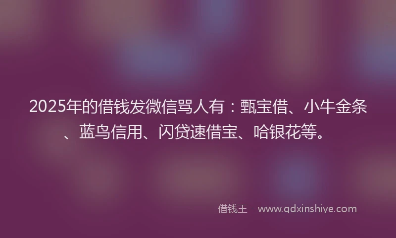 2025年的借钱发微信骂人有：甄宝借、小牛金条、蓝鸟信用、闪贷速借宝、哈银花等。