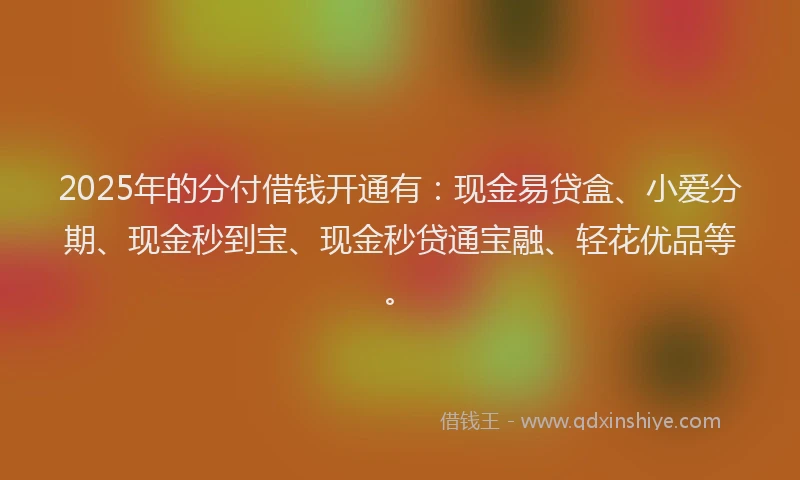 2025年的分付借钱开通有：现金易贷盒、小爱分期、现金秒到宝、现金秒贷通宝融、轻花优品等。