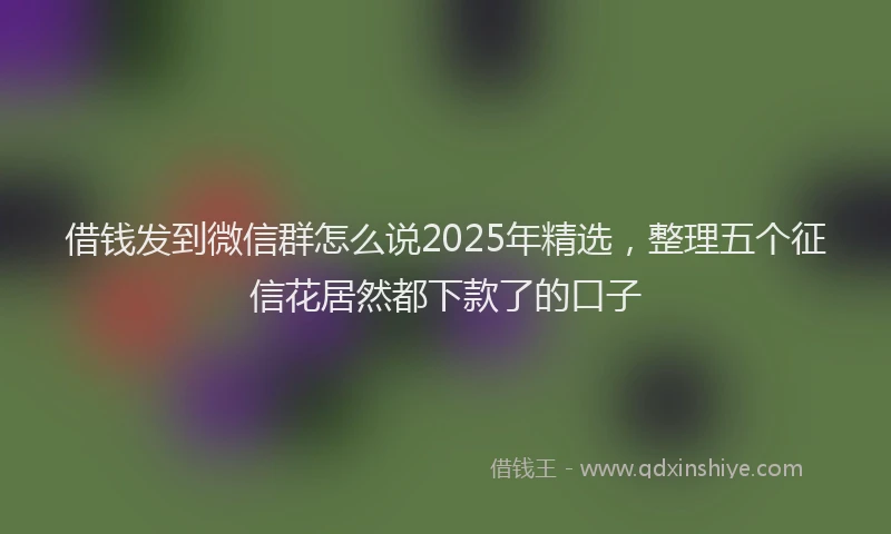 借钱发到微信群怎么说2025年精选，整理五个征信花居然都下款了的口子