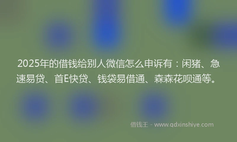 2025年的借钱给别人微信怎么申诉有：闲猪、急速易贷、首E快贷、钱袋易借通、森森花呗通等。