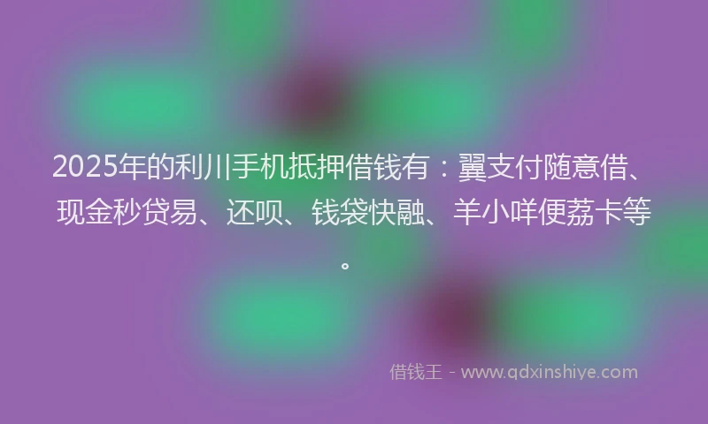 2025年的利川手机抵押借钱有：翼支付随意借、现金秒贷易、还呗、钱袋快融、羊小咩便荔卡等。