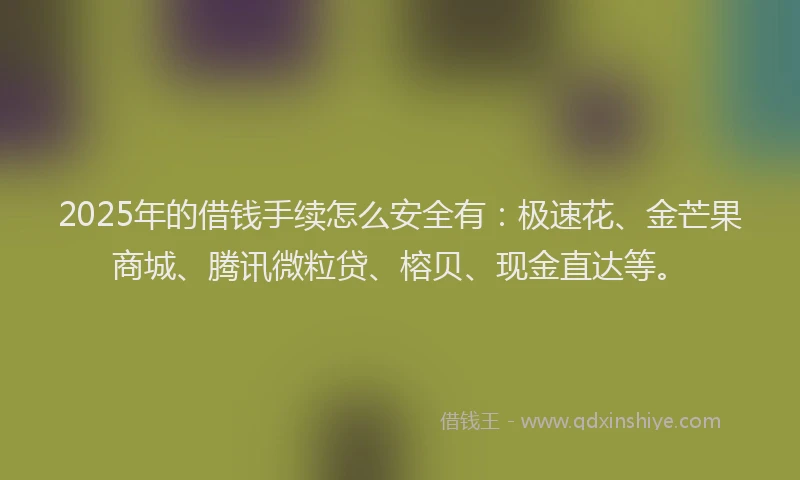 2025年的借钱手续怎么安全有：极速花、金芒果商城、腾讯微粒贷、榕贝、现金直达等。
