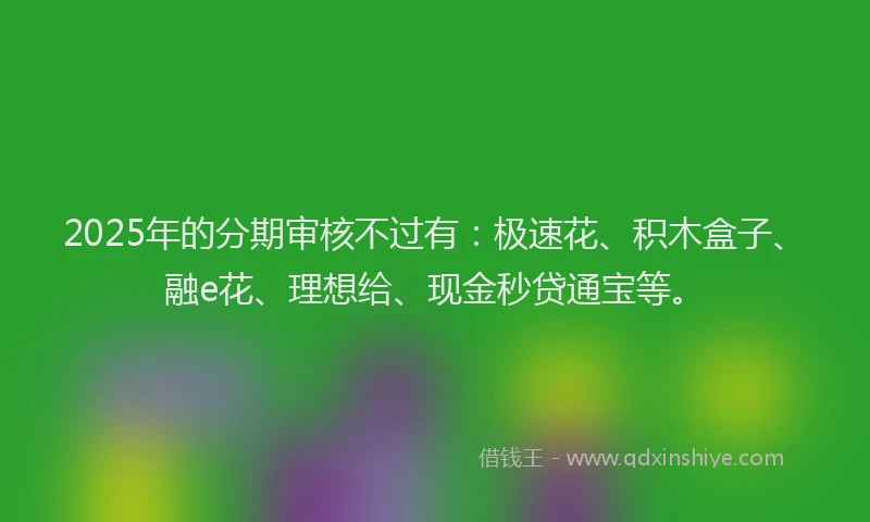 2025年的分期审核不过有：极速花、积木盒子、融e花、理想给、现金秒贷通宝等。