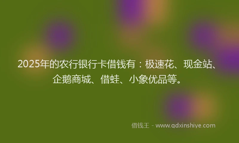 2025年的农行银行卡借钱有：极速花、现金站、企鹅商城、借蛙、小象优品等。