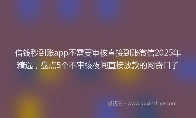 借钱秒到账app不需要审核直接到账微信2025年精选，盘点5个不审核夜间直接放款的网贷口子