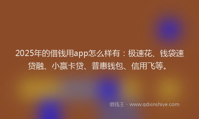 2025年的借钱用app怎么样有：极速花、钱袋速贷融、小赢卡贷、普惠钱包、信用飞等。