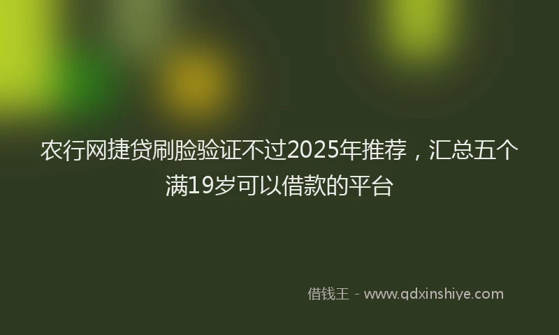 农行网捷贷刷脸验证不过2025年推荐，汇总五个满19岁可以借款的平台