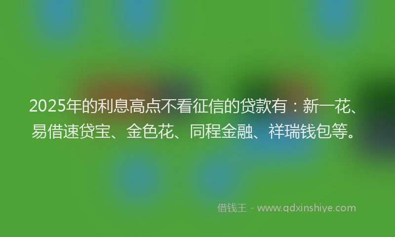 2025年的利息高点不看征信的贷款有：新一花、易借速贷宝、金色花、同程金融、祥瑞钱包等。