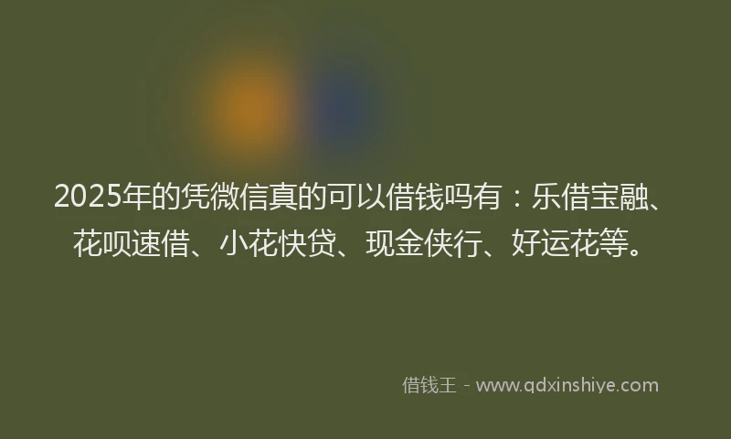 2025年的凭微信真的可以借钱吗有：乐借宝融、花呗速借、小花快贷、现金侠行、好运花等。