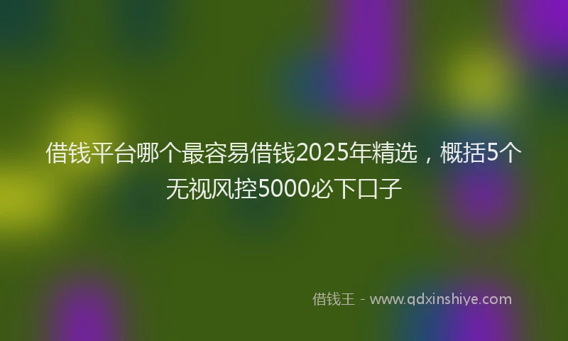借钱平台哪个最容易借钱2025年精选，概括5个无视风控5000必下口子
