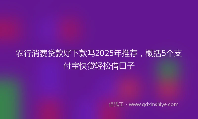 农行消费贷款好下款吗2025年推荐，概括5个支付宝快贷轻松借口子