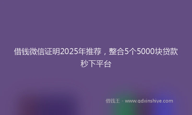 借钱微信证明2025年推荐，整合5个5000块贷款秒下平台