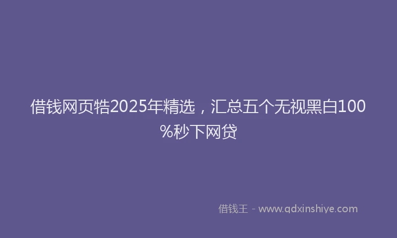 借钱网页牿2025年精选，汇总五个无视黑白100%秒下网贷
