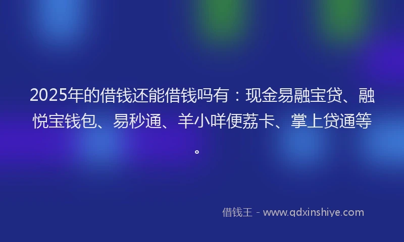 2025年的借钱还能借钱吗有：现金易融宝贷、融悦宝钱包、易秒通、羊小咩便荔卡、掌上贷通等。