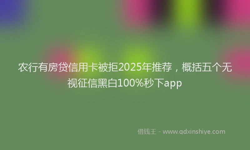 农行有房贷信用卡被拒2025年推荐，概括五个无视征信黑白100%秒下app