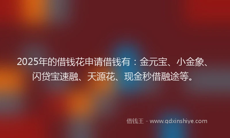 2025年的借钱花申请借钱有：金元宝、小金象、闪贷宝速融、天源花、现金秒借融途等。