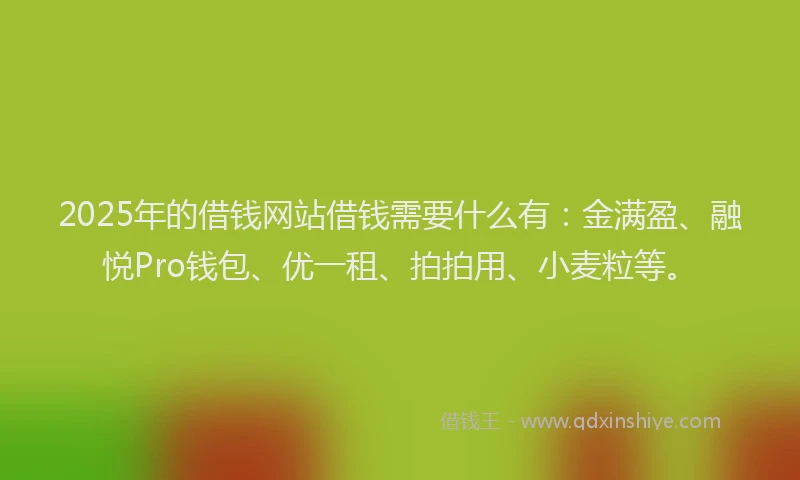 2025年的借钱网站借钱需要什么有：金满盈、融悦Pro钱包、优一租、拍拍用、小麦粒等。