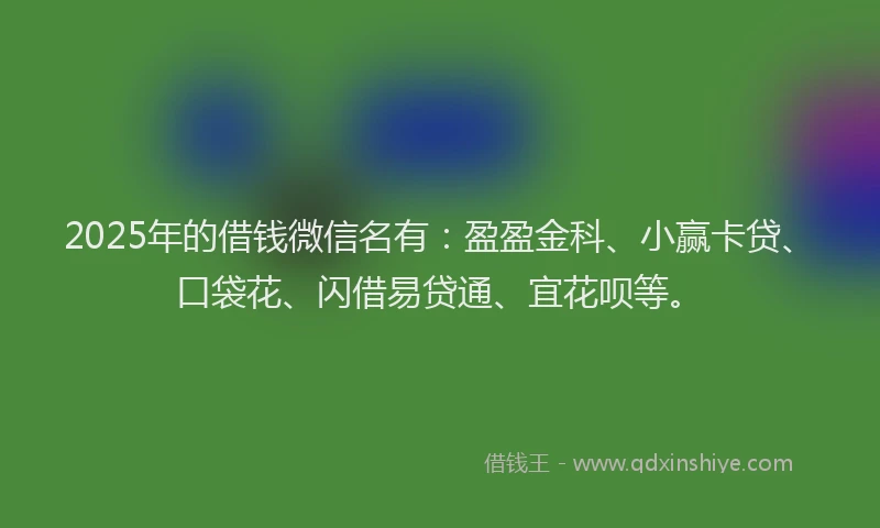 2025年的借钱微信名有：盈盈金科、小赢卡贷、口袋花、闪借易贷通、宜花呗等。